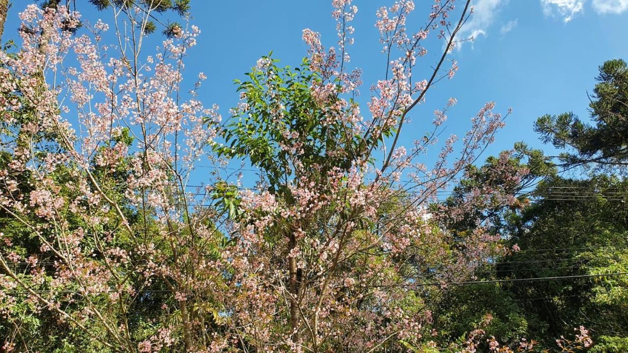 Pousada Toque De Minas Visconde De Maua Luaran gambar