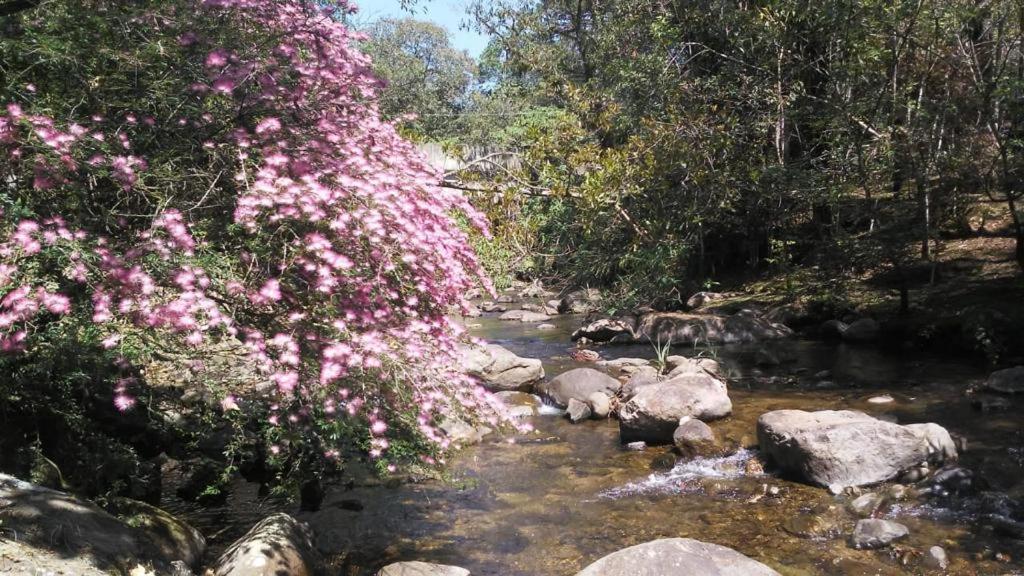 Pousada Toque De Minas Visconde De Maua Luaran gambar
